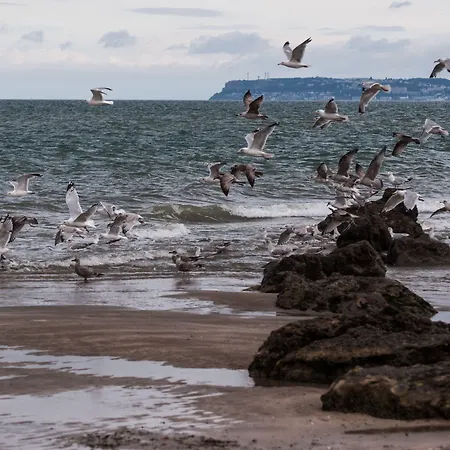 Domaine Du Grand Bec 4*