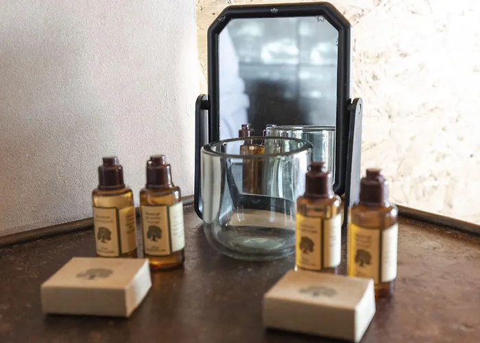 Nocleg ze śniadaniem Domaine Du Grand Bec