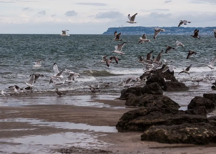 Domaine Du Grand Bec 4*